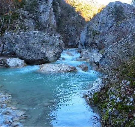 La Salamandre De L Olivier - Le Mimosa Aubignosc