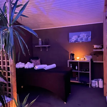 La Salamandre De L Olivier - Le Mimosa Aubignosc