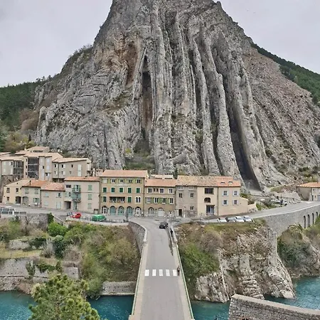 La Salamandre De L Olivier - Le Mimosa *