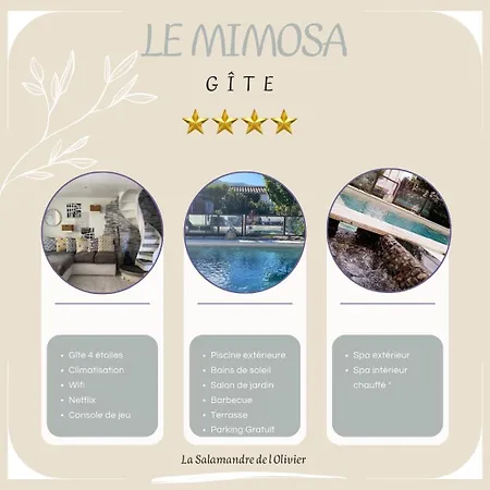 La Salamandre De L Olivier - Le Mimosa