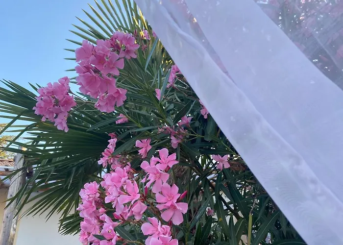 Villa La Salamandre De L Olivier - Le Mimosa Aubignosc