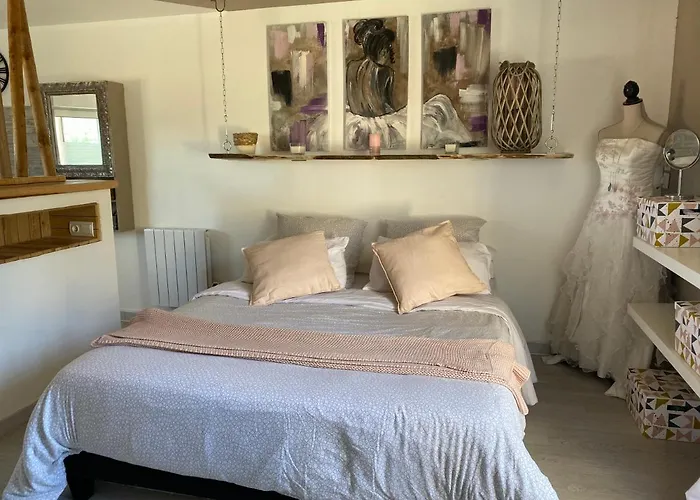 La Salamandre De L Olivier - Le Mimosa Aubignosc