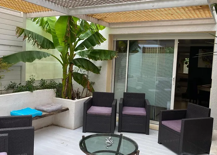 La Salamandre De L Olivier - Le Mimosa * Aubignosc