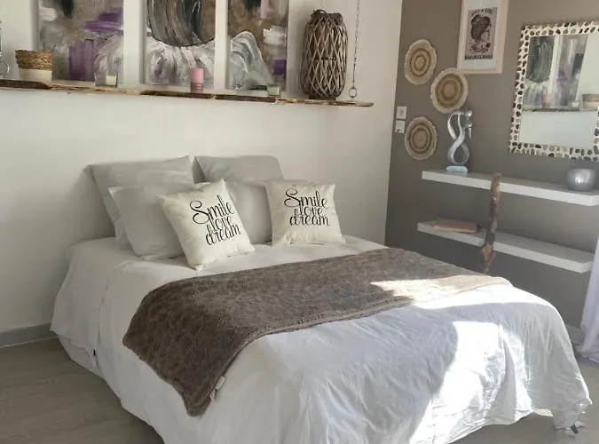 La Salamandre De L Olivier - Le Mimosa Aubignosc