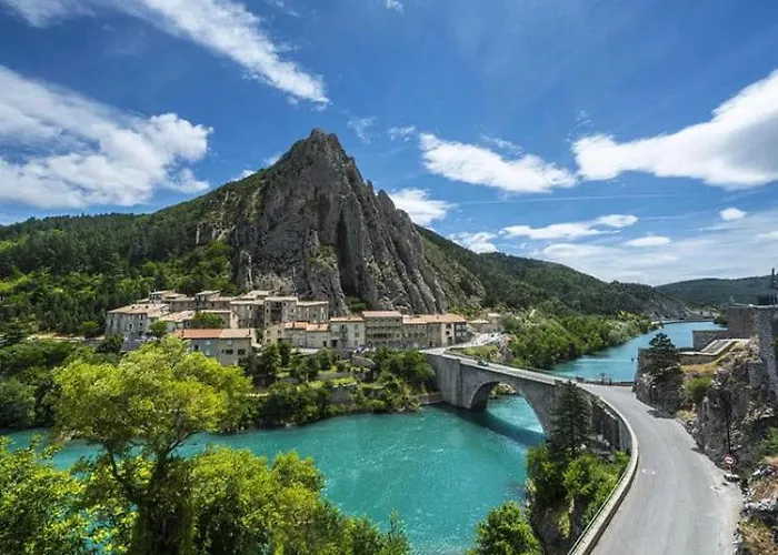 La Salamandre De L Olivier - Le Mimosa