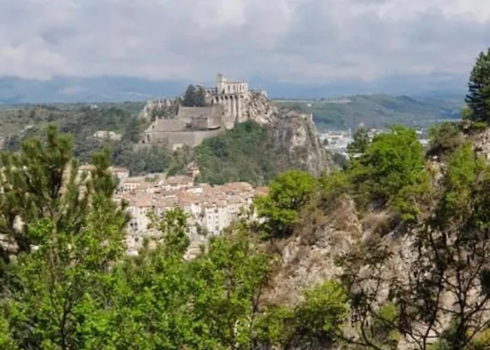 La Salamandre De L Olivier - Le Mimosa Villa *
