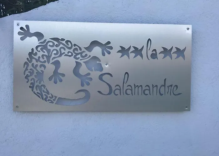 La Salamandre De L Olivier - Le Mimosa Villa