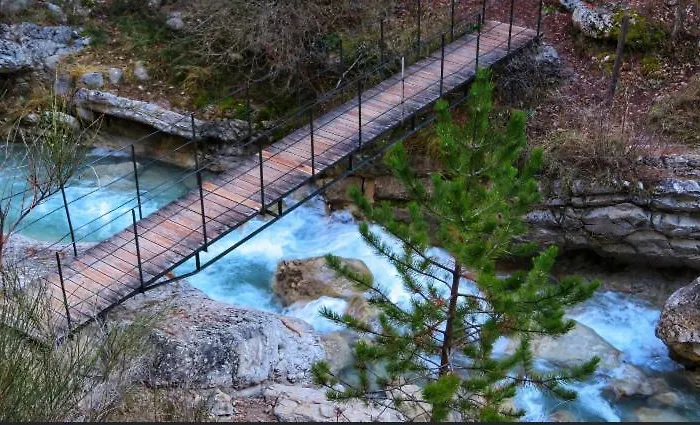 La Salamandre De L Olivier - Le Mimosa Villa