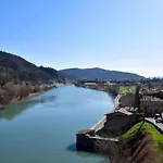 La Salamandre De L Olivier - Le Mimosa * Aubignosc