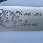 La Salamandre De L Olivier - Le Mimosa Villa