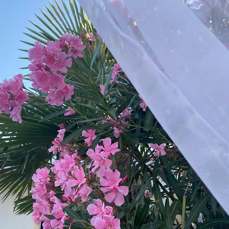 Willa La Salamandre De L Olivier - Le Mimosa Aubignosc