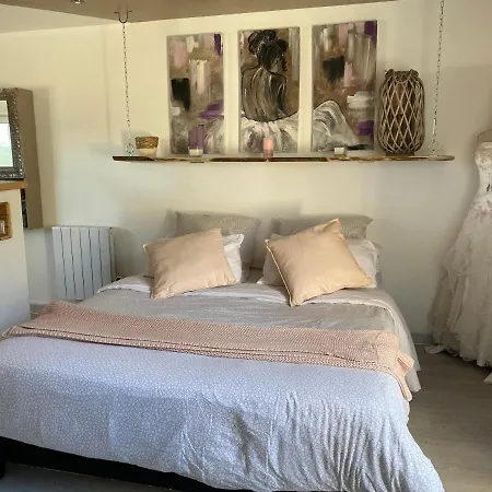 La Salamandre De L Olivier - Le Mimosa Aubignosc