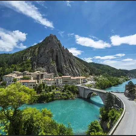 La Salamandre De L Olivier - Le Mimosa