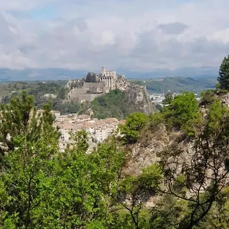 La Salamandre De L Olivier - Le Mimosa Willa *