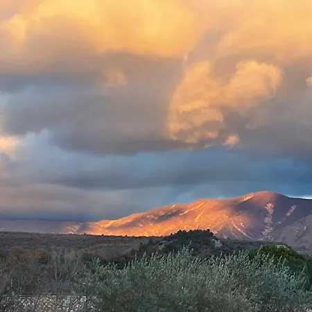 La Salamandre De L Olivier - Le Mimosa Willa *