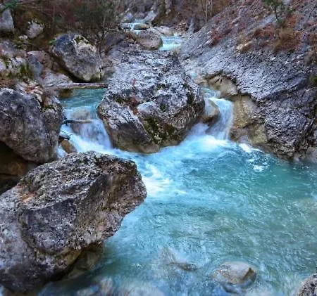 La Salamandre De L Olivier - Le Mimosa * Aubignosc