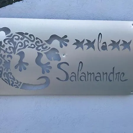 La Salamandre De L Olivier - Le Mimosa Willa