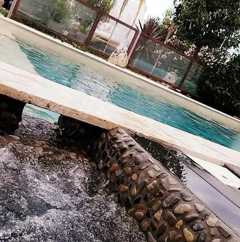 Villa La Salamandre De L Olivier - Le Mimosa