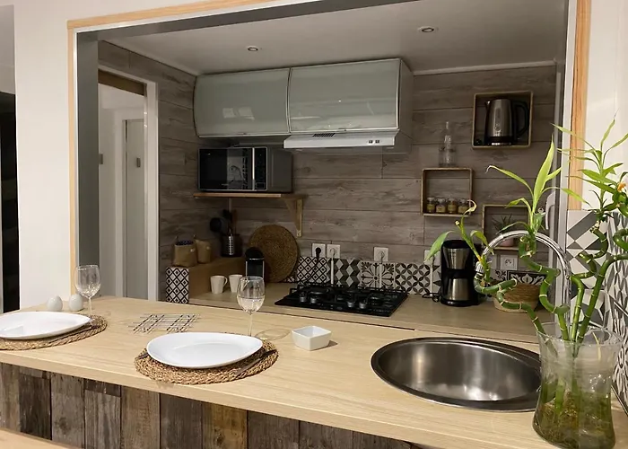 Villa La Salamandre De L Olivier - Le Mimosa Aubignosc