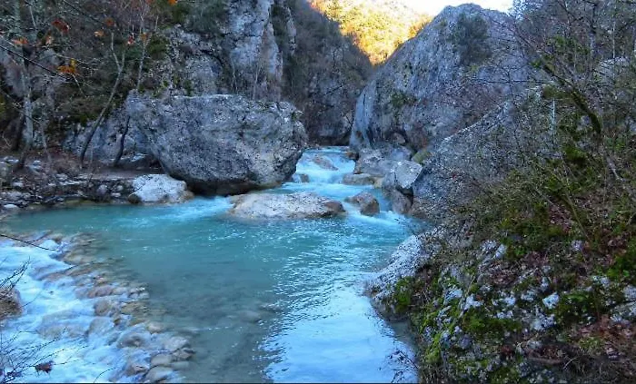La Salamandre De L Olivier - Le Mimosa Aubignosc