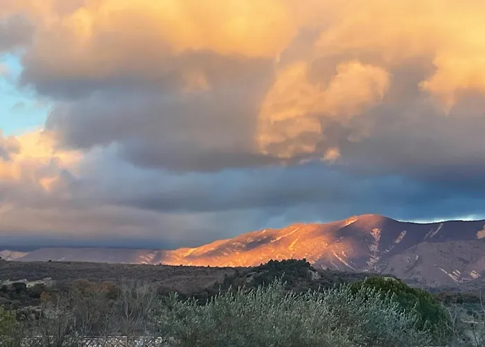 La Salamandre De L Olivier - Le Mimosa Villa *