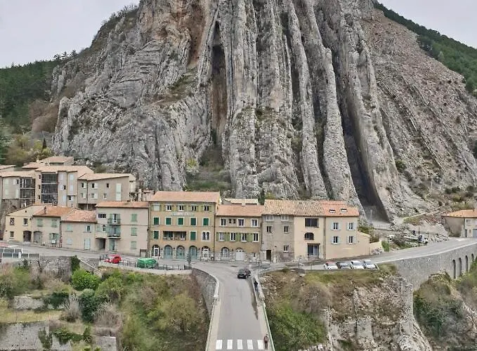 La Salamandre De L Olivier - Le Mimosa *