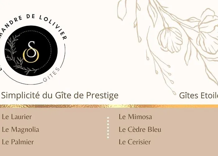 Villa La Salamandre De L Olivier - Le Mimosa Aubignosc